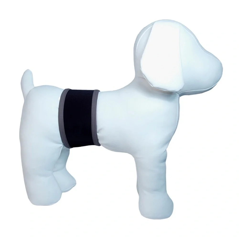 Dog Belly Band
